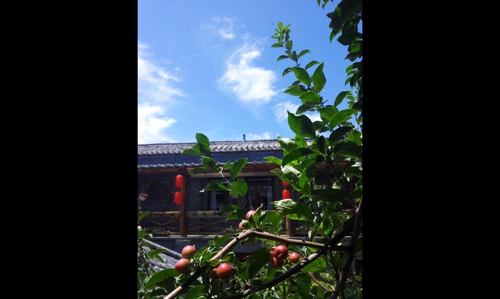 Lazy Tiger Inn Lijiang  Esterno foto