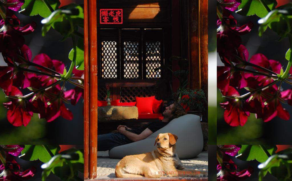 Lazy Tiger Inn Lijiang  Esterno foto